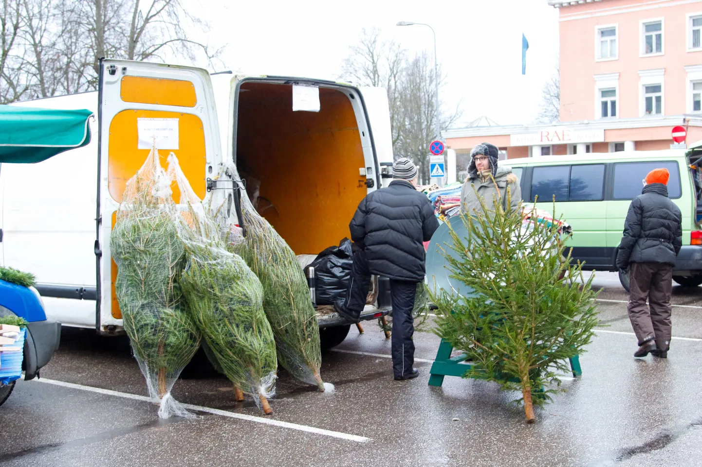 Jõulukuuskede müük enne jõule Otepääl