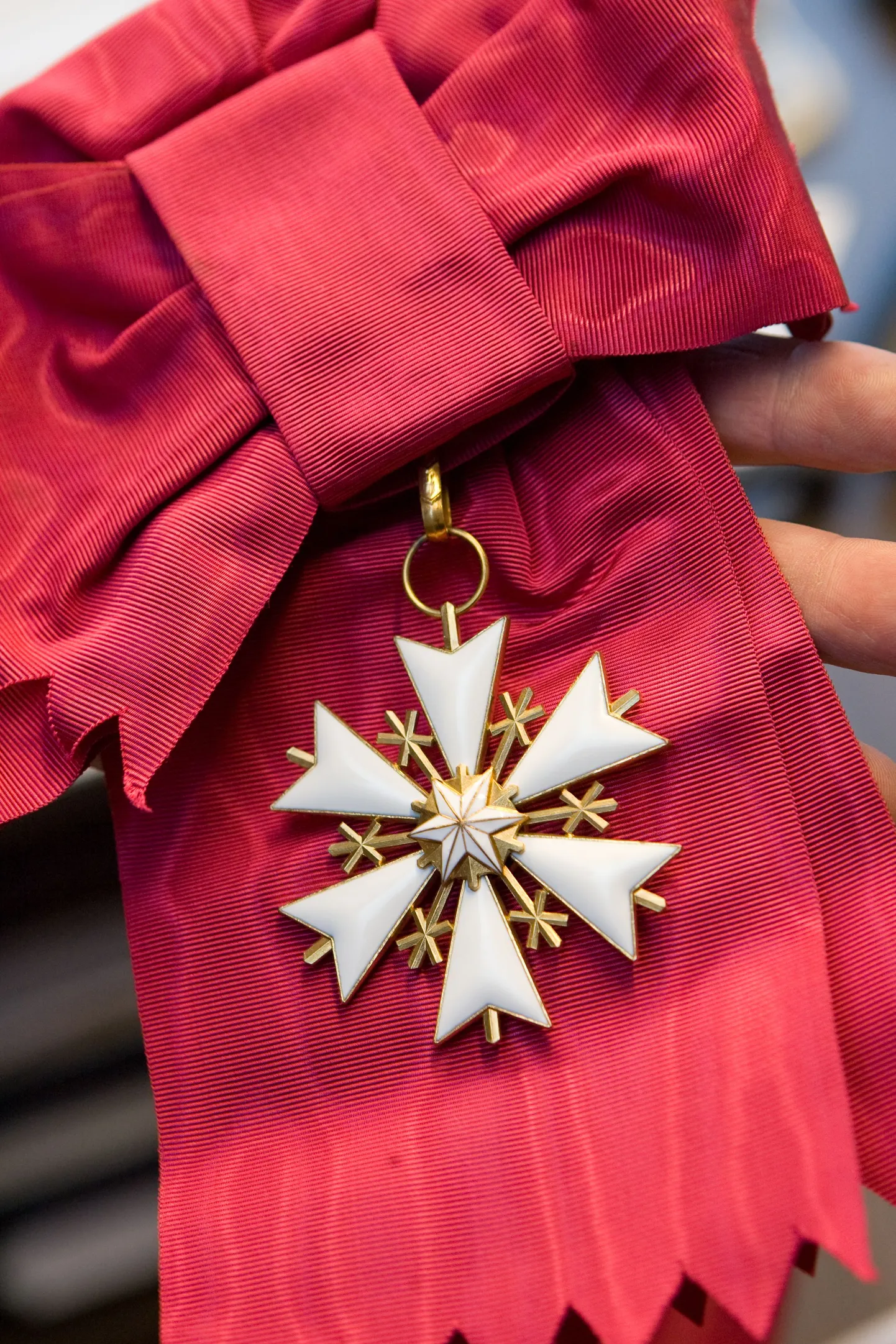 Одна из государственных наград Эстонии - Орден Белой звезды I класса.