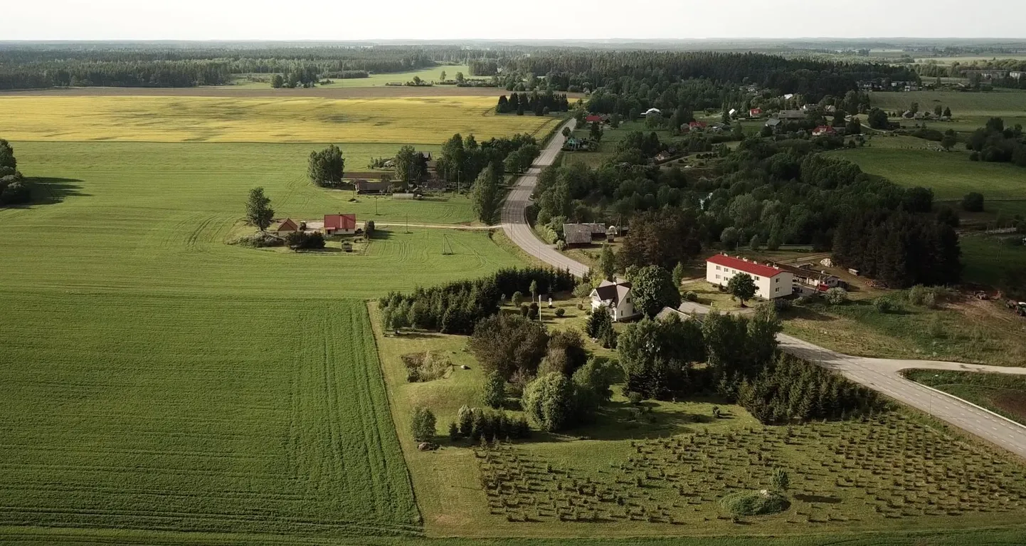 Üks osa kodukohvikute päeval kaasa löövast Saara külast näeb linnulennult välja selline.