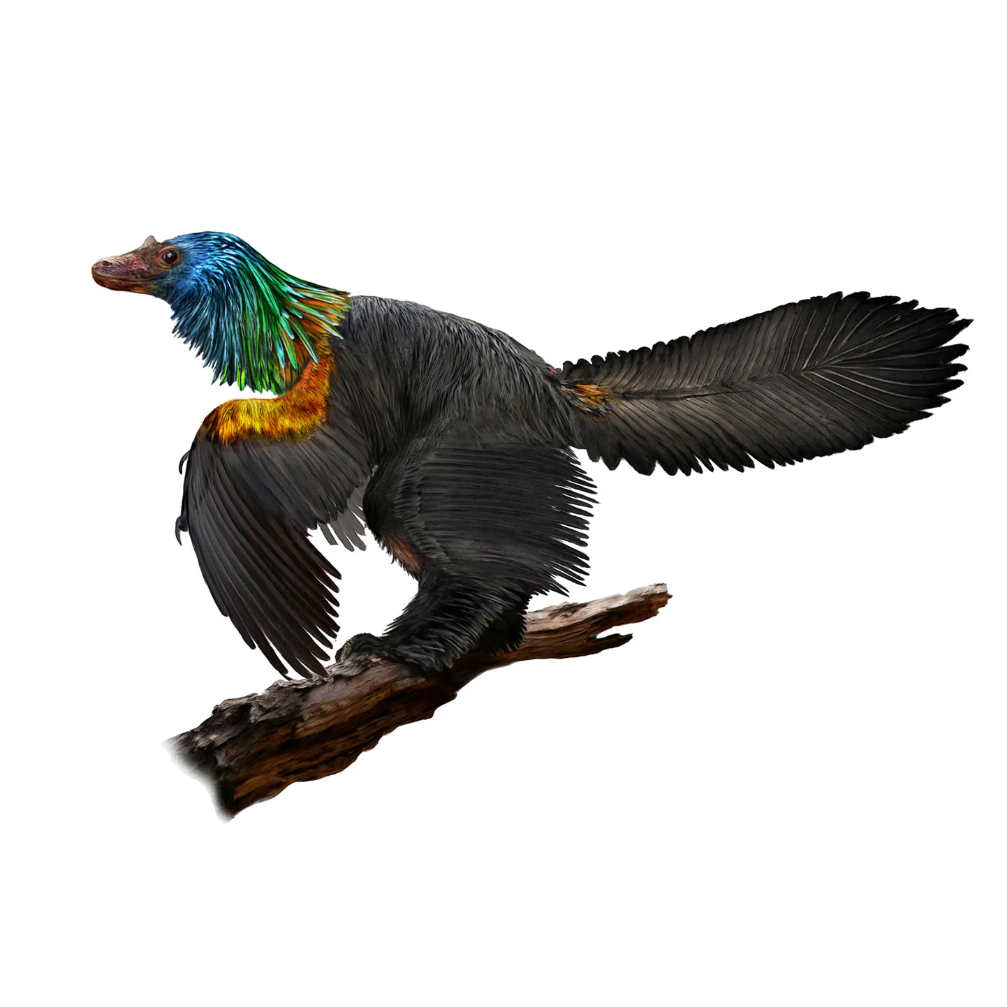 Kunstniku nägemus värviliste sulgedega Caihong juji'st.