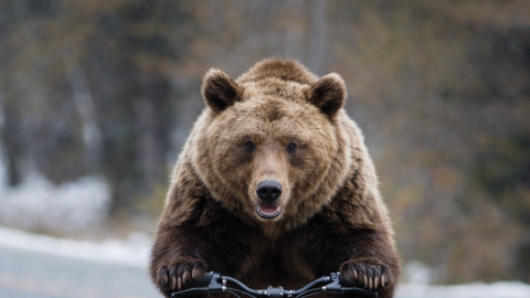 NÄDALA NÄGU ⟩ Väike-Maarja virtuaalmesikäpp ja purjus mehe eksitus