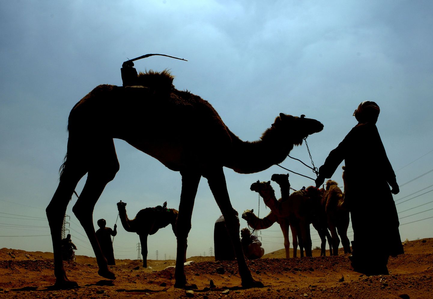 Beduiini mehed kaamelitega.