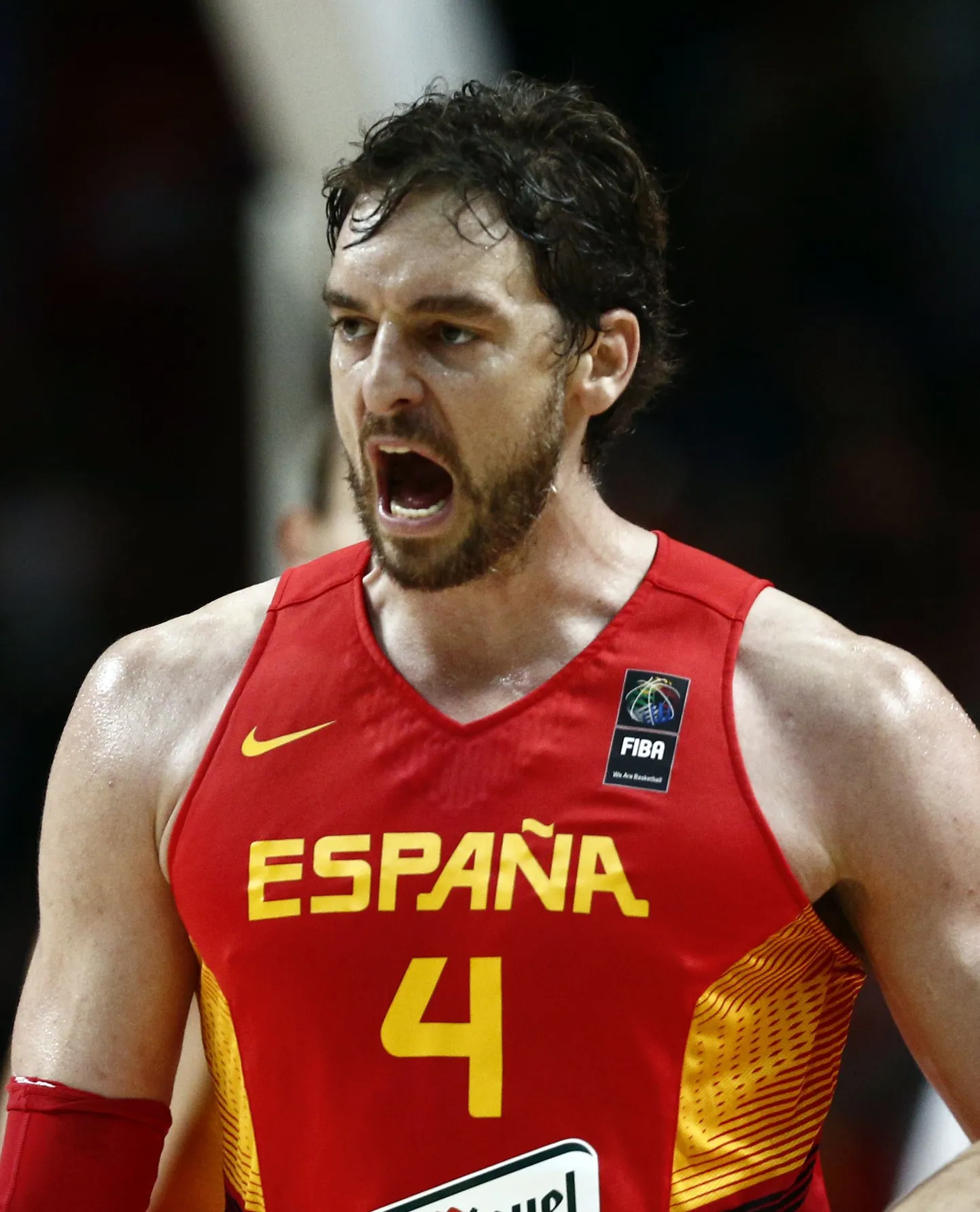 Pau Gasol.