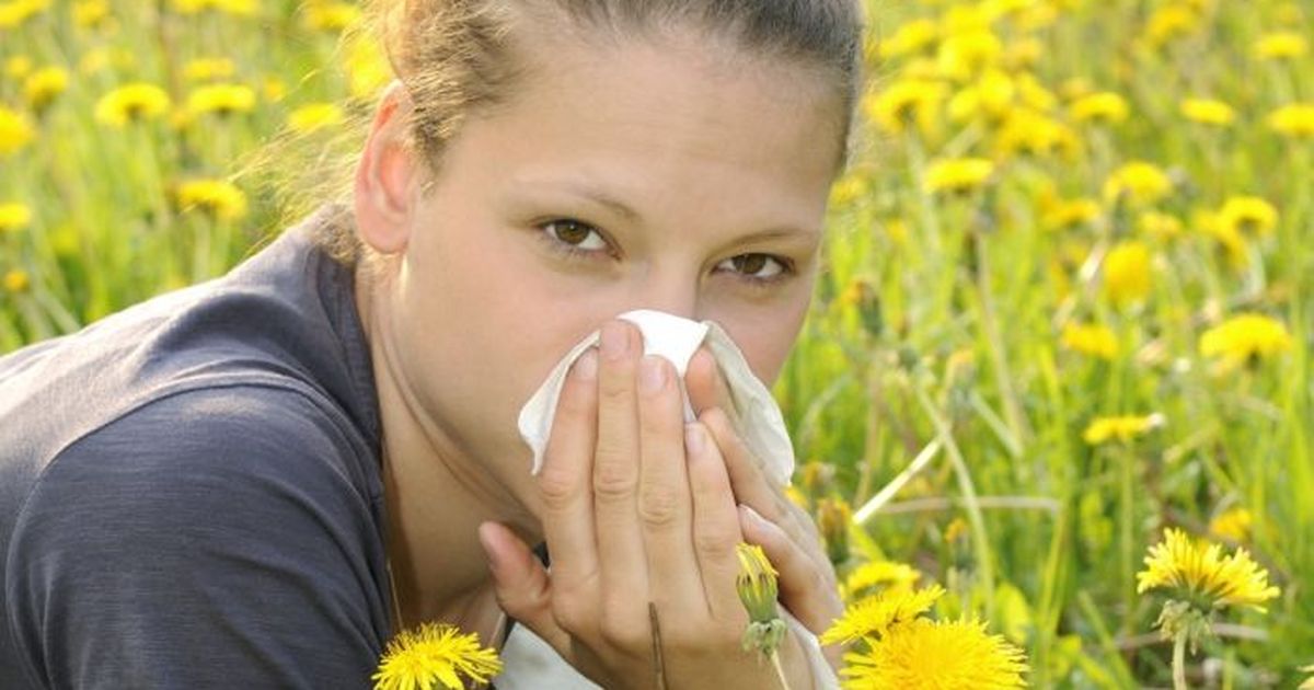 Аллергия креатив. Hay Fever.