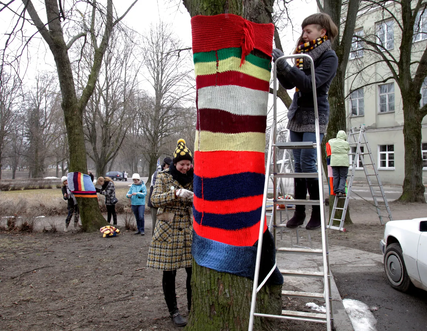 Kudumisgrafiti talgud Kompanii 10 esisel haljasalal (pildil Terje Ong(redelil) ja Kerli Irbo kudumeid kokku traageldamas).