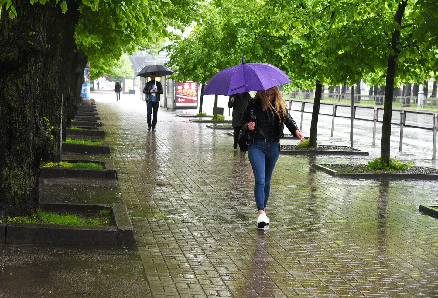 Raksta foto