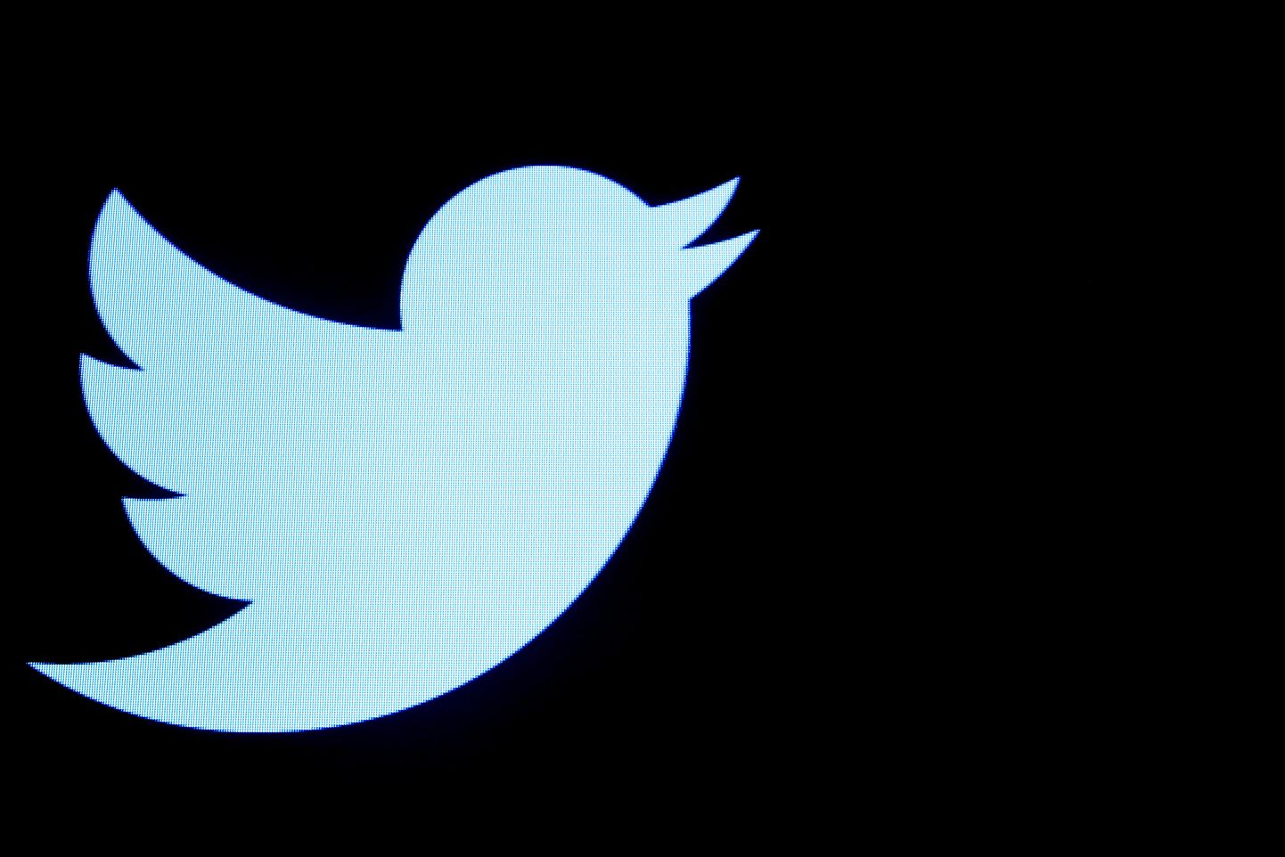 Twitteri logo: Iiri kontrollorgan on valmis Twitterile trahvi tegema