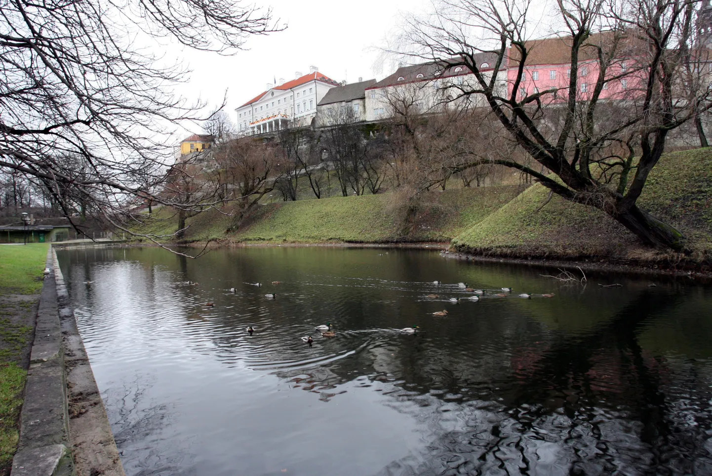 Snelli tiik.
