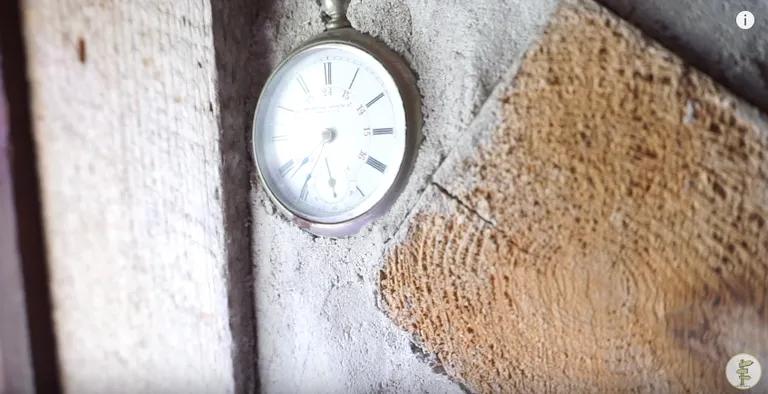 Фото: скриншот с видео