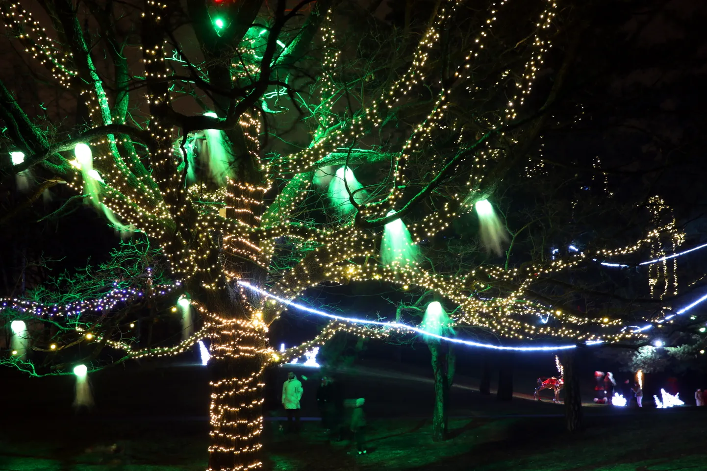 Ziemassvētku noformējums Sarkandaugavas kalna parkā.