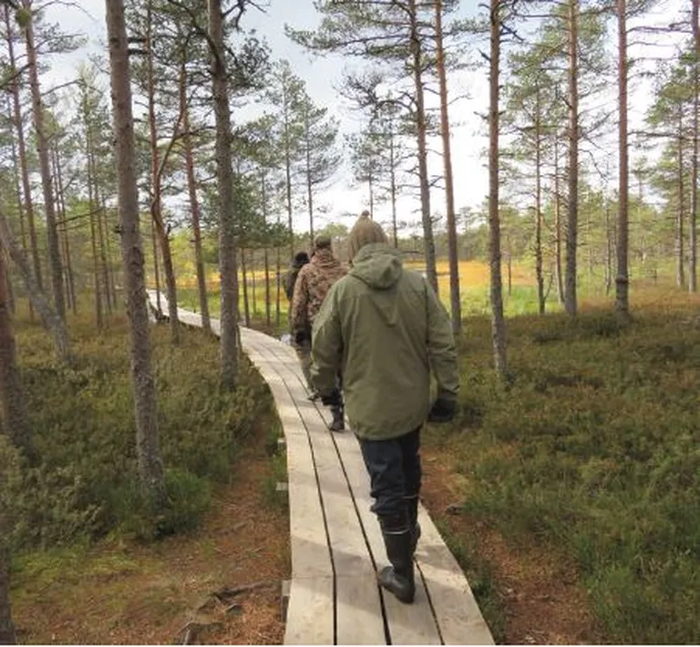 RMK külastustaristu moodustavad 8000 erinevat rajatist, mida mullukülastati 2,6 miljonil korral.