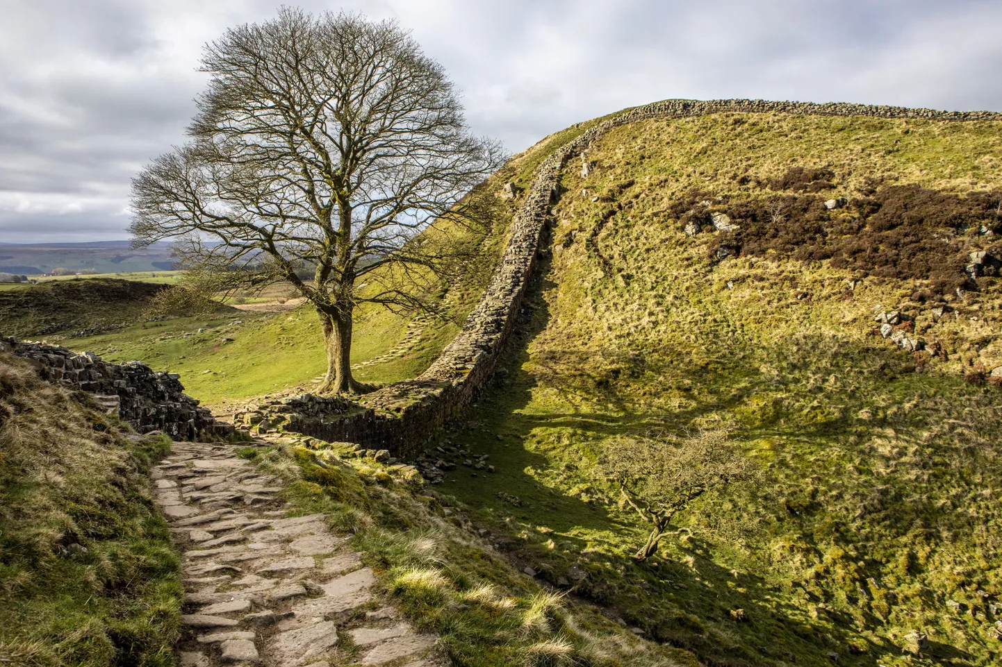 Sycamore Gap.