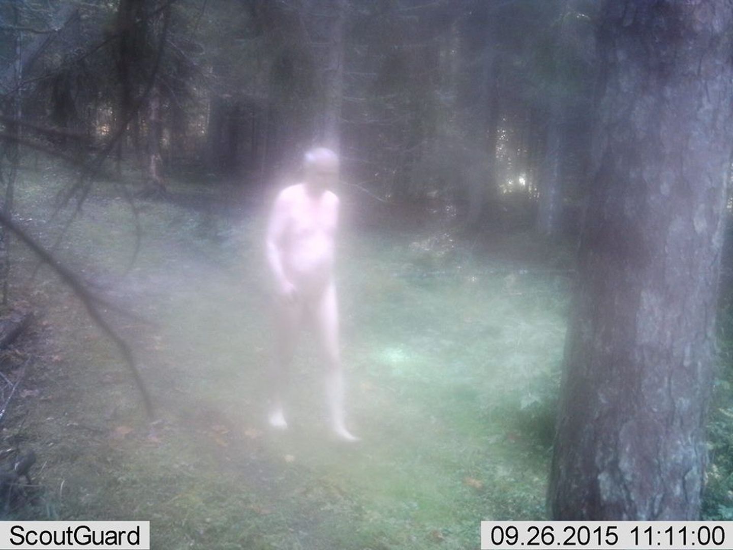 Läänemaa jahimehed kahtlustavad tundmatut alasti meest metsakaamerate äraviimises.
