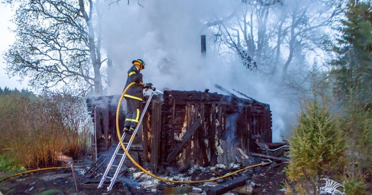 Tapja kägistatud ohvrist: talle läks šašlõkk kurku