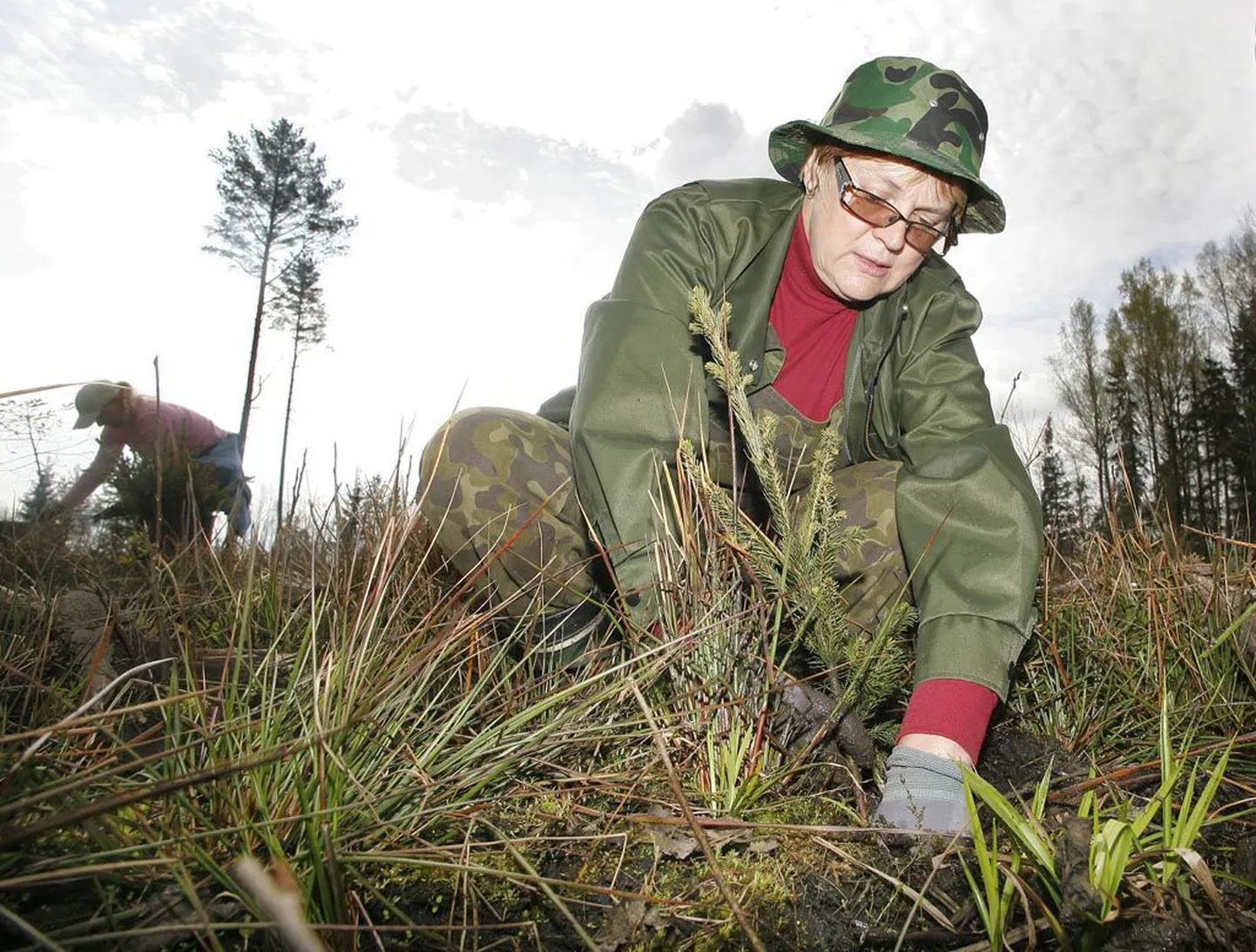 Keskkonnaameti Pärnu-Viljandi regiooni metsanduse peaspetsialistile Küllike Kogerile olid talgud võimalus kontorilaua tagant metsa saada.