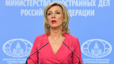 В МИД России обвинили Эстонию в открытом преследовании Sputnik