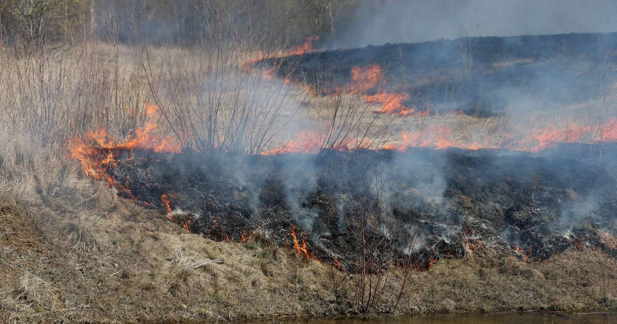 Pajustis lõõmas kulutuli