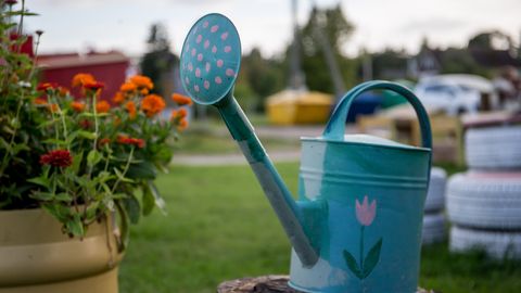 Estonia advised to prioritize rainwater for irrigation amid climate shifts
