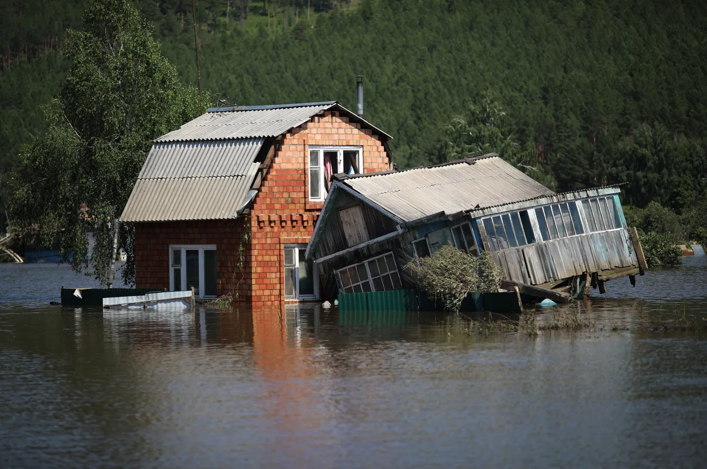 Фото статьи