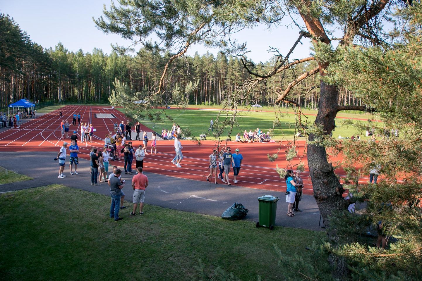 Muu hulgas leiab Pärnumaal tööd spordiväljakute meistrina.