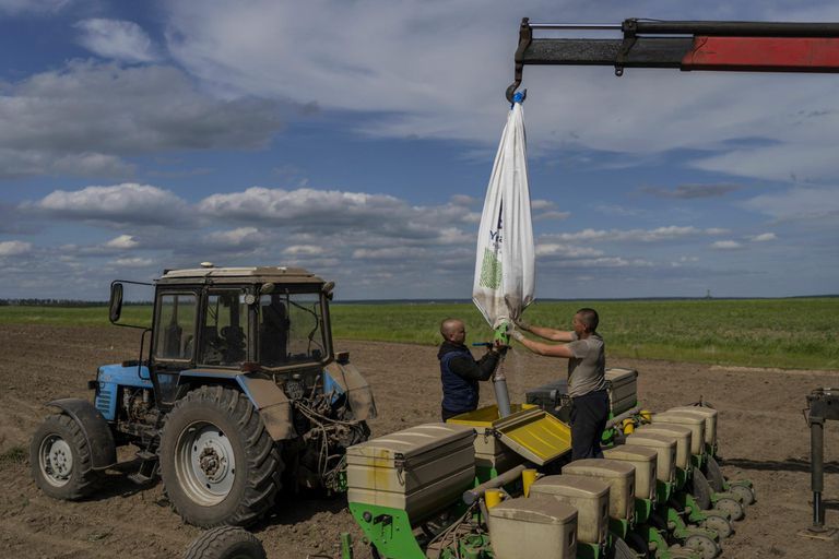 Сельскохозяйственные работы на востоке Украины под Харьковом в Лозовой 28 мая.