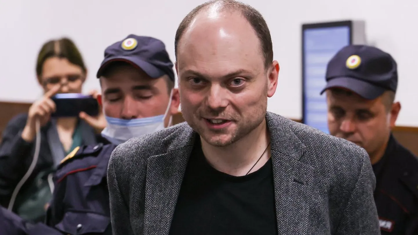 Политик Владимир Кара-Мурза