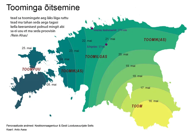 Eesti on küll väike, aga toomingate õitsema mineku aja vahe võib Kagu- ja Lääne-Eestis olla isegi kümmekond päeva.