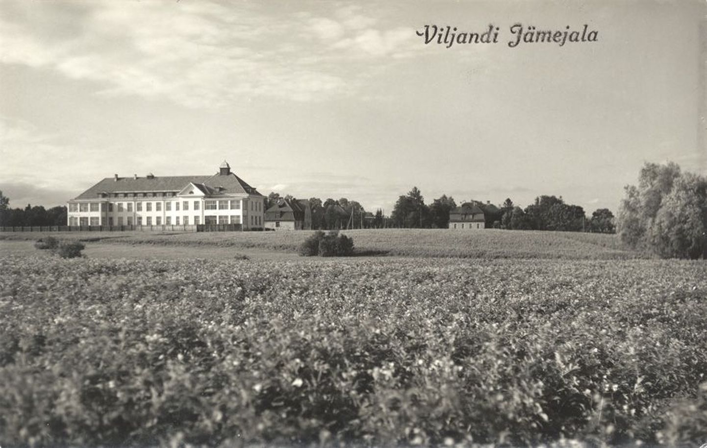 Jämejala haigla aastal 1932. Asutuse eelarvest tuli toona üheksa kümnendikku riigilt, ülejäänud osa oli vaimuhaigla enda aastane sissetulek. Suurem osa sellest tuli talupidamisest, ülejäänu haigete omakseilt või omavalitsustelt.