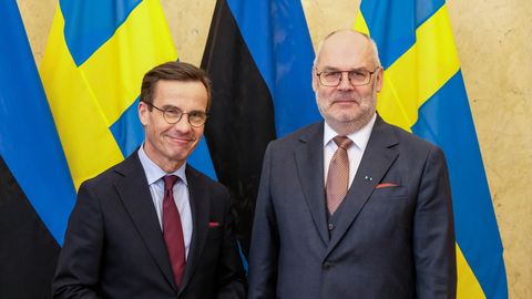 Карис на встрече с премьером Швеции: расширение НАТО в интересах безопасности всего региона Балтийского моря