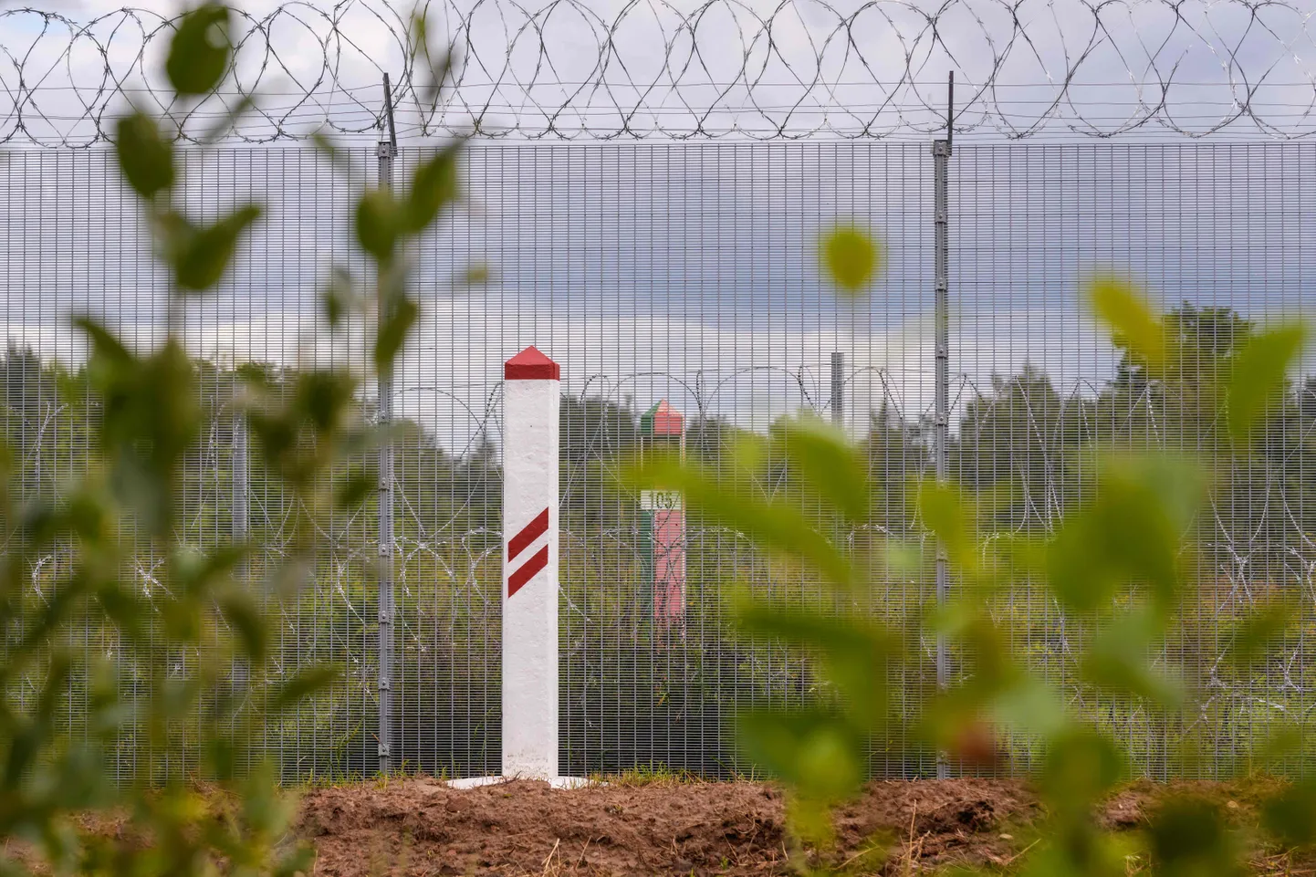 Raksta foto