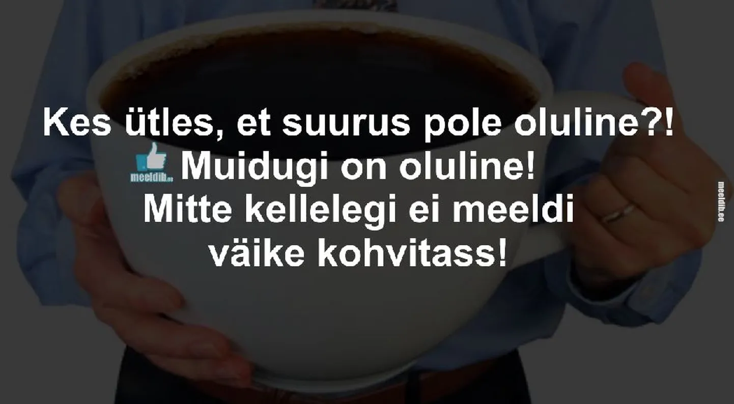 Artikli foto