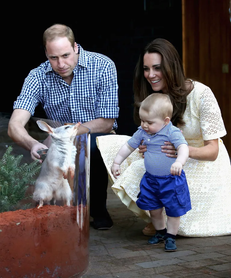 Prints William, hertsoginna Catherine ja nende poeg, prints George Austraalias Sydney loomaaias