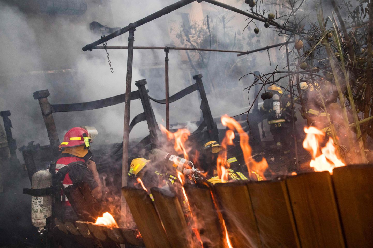 Israeli firefighters help extinguish a fire in the northern Israeli port city of Haifa on November 24, 2016.

Hundreds of Israelis fled their homes on the outskirts of the country's third city Haifa with others trapped inside as firefighters struggled to control raging bushfires, officials said. / AFP PHOTO / JACK GUEZ