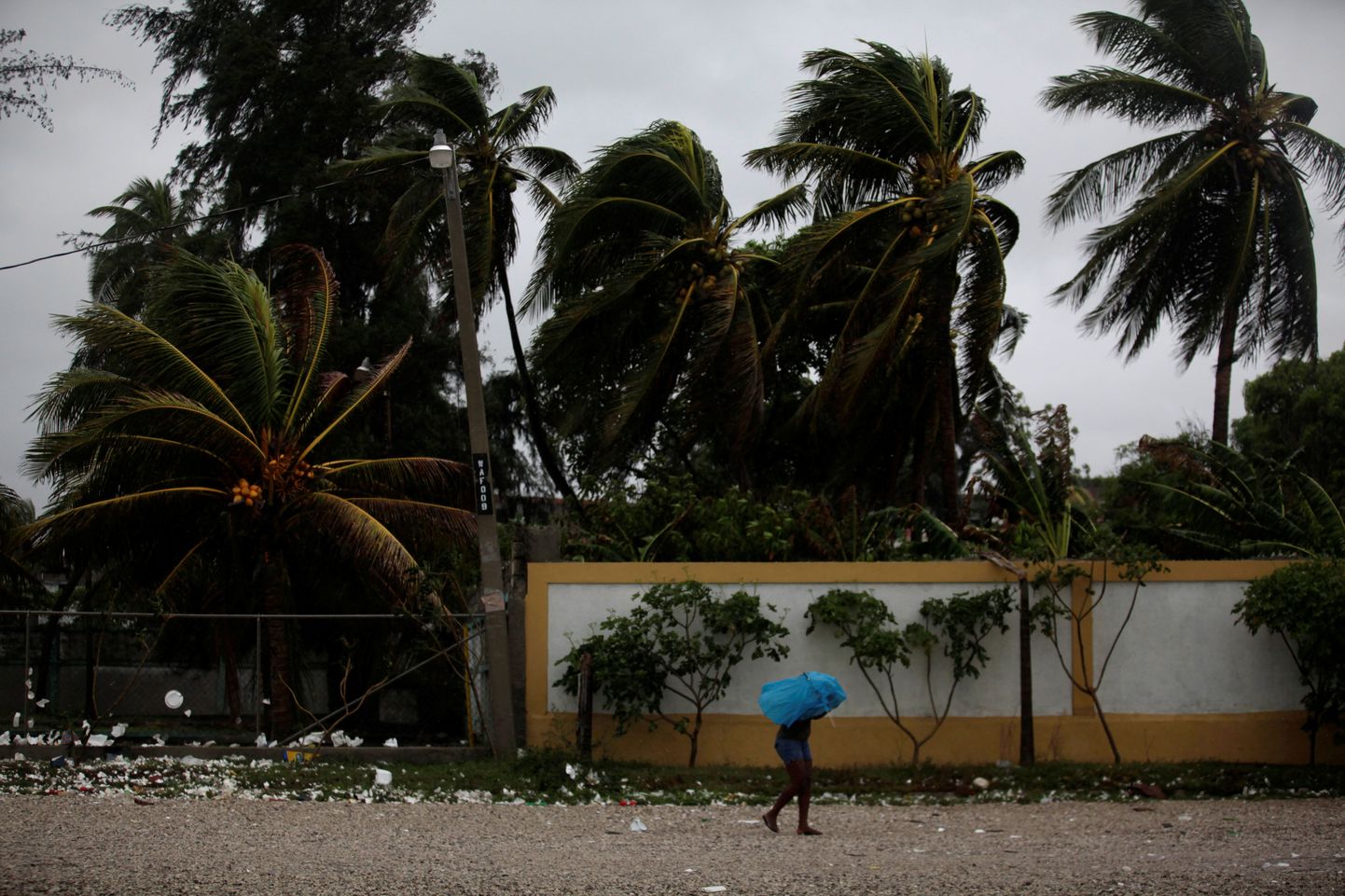 Haiti elanik kaitseb end vihma eest.