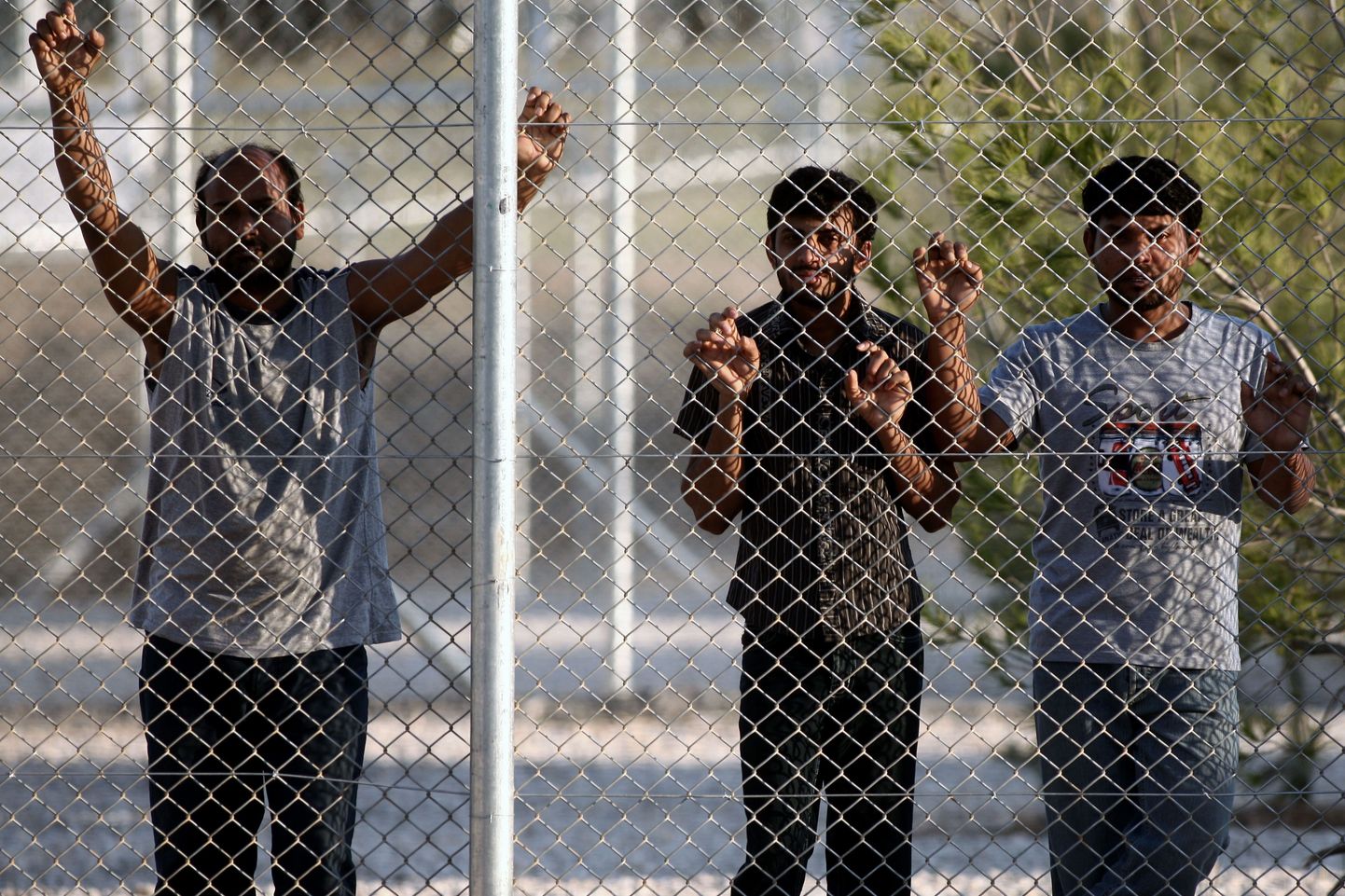 Illegaalseid immigrandid Kreekas Amygdaleza pagulastelaagris.