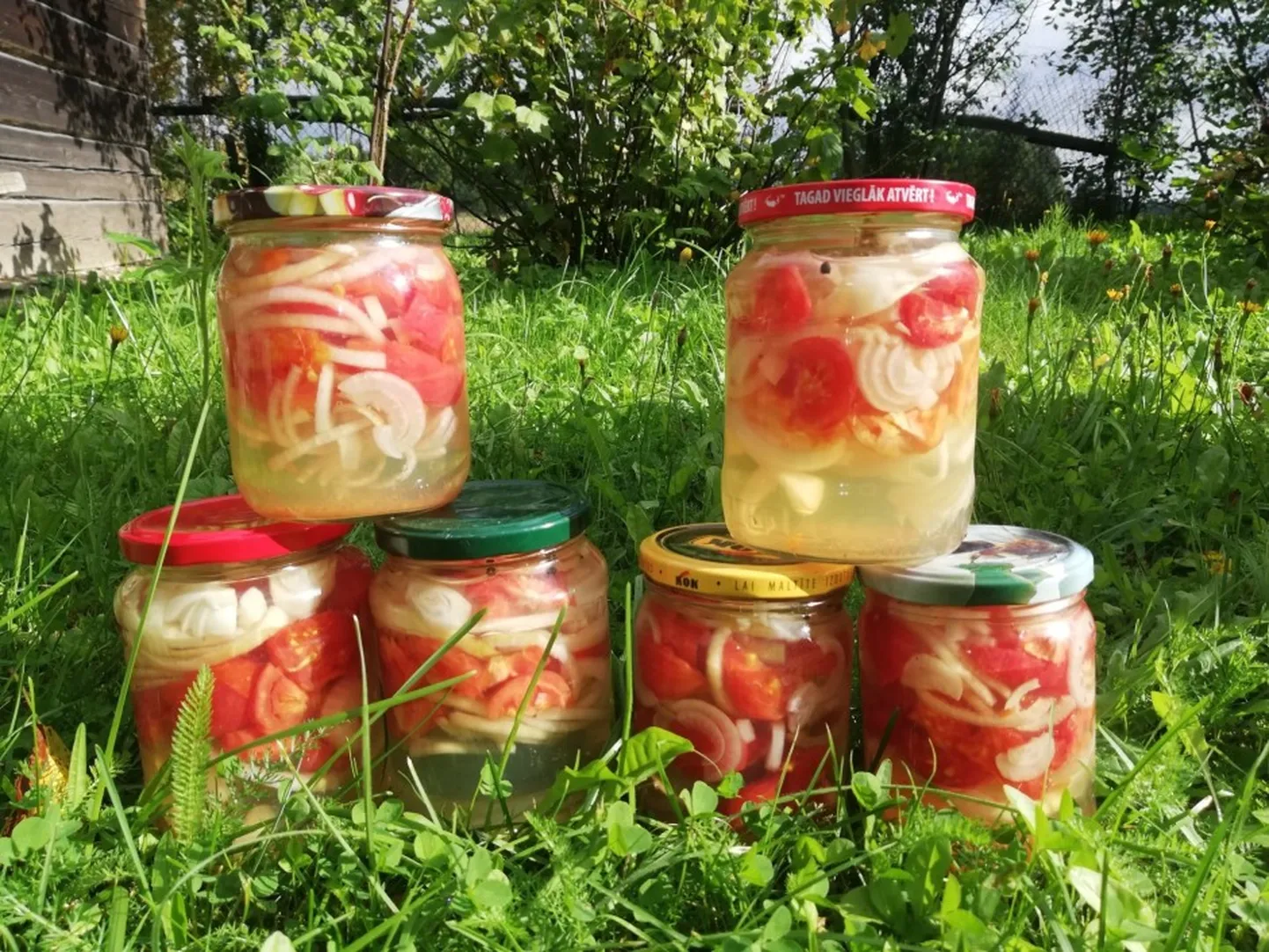 Tomāti ar sīpoliem želejā