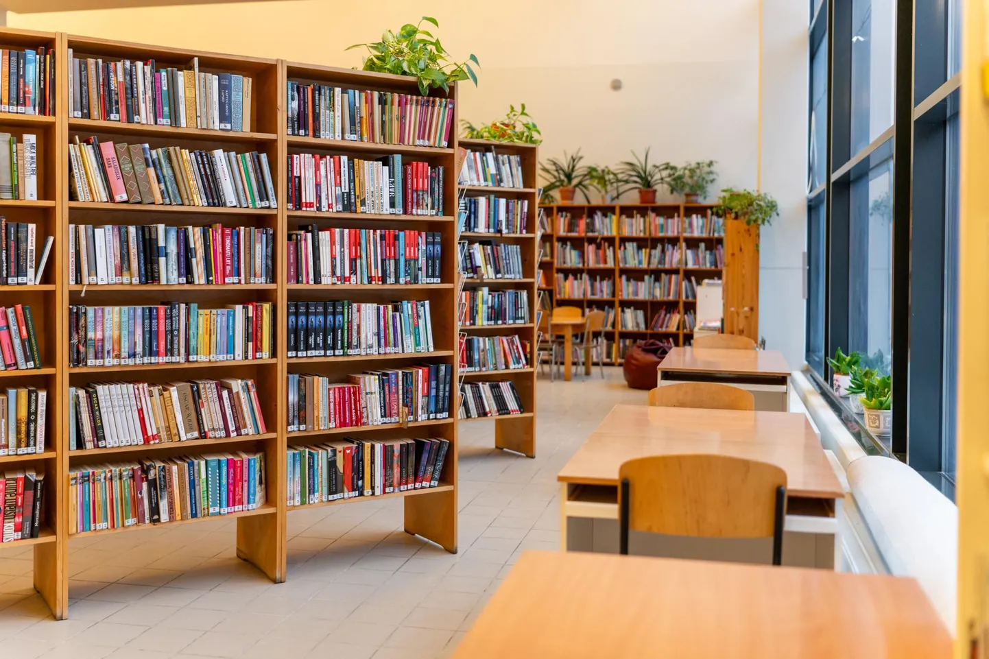 Aasta alguses Maxima hüpermarketi majas ajutise pesa leidnud harubiblioteek saab uue nime ja kolib uueks aastaks Papiniidu ja Metsa tänava nurgal valmivasse&nbsp;ärihoonesse.