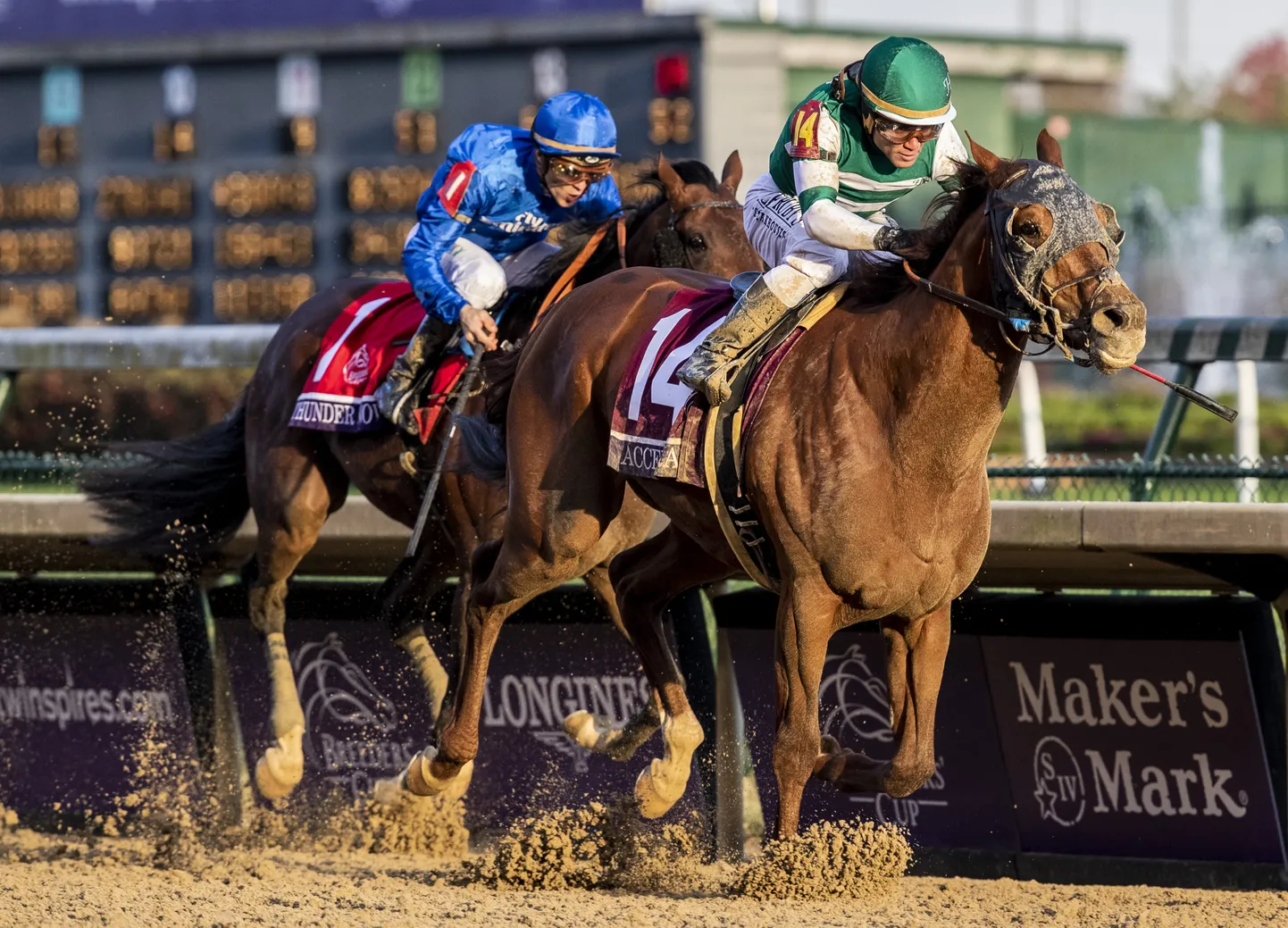 Joel Rosario hobusel Accelerate (14).