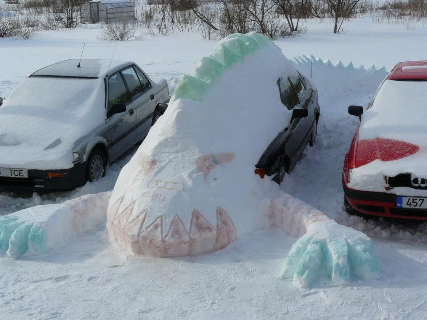 Öine lumetusisk tõi Kehtna autoomanikule värvika üllatuse