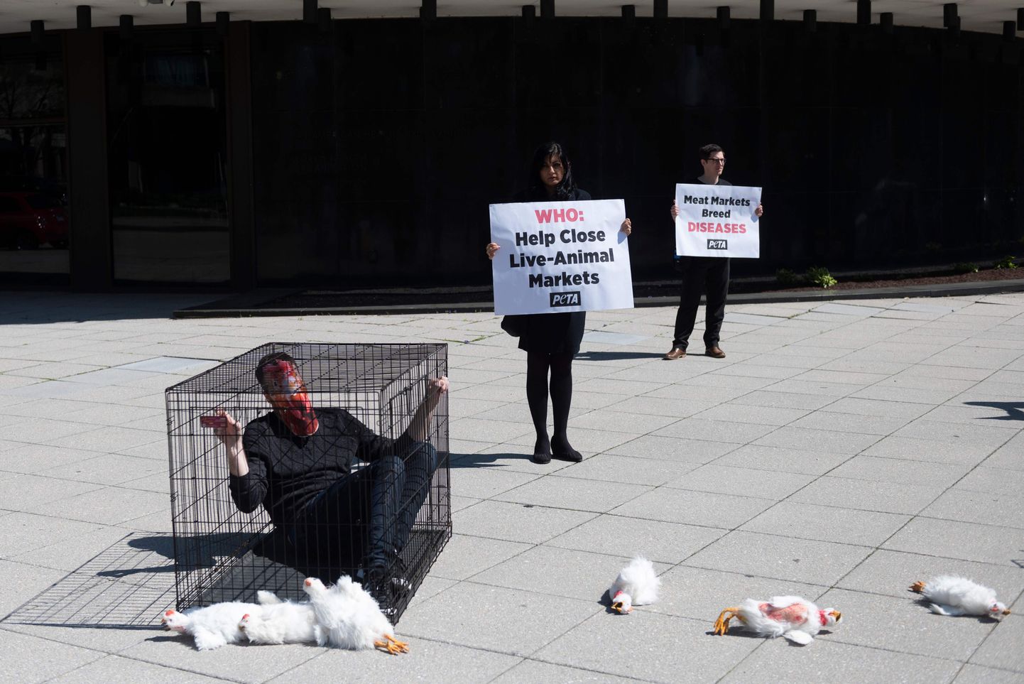 30.märts 2020, Maailma Terviseorganisatsiooni peakorteri ees Washingtonis protesteerivad loomaturgude vastu PETA aktivistid