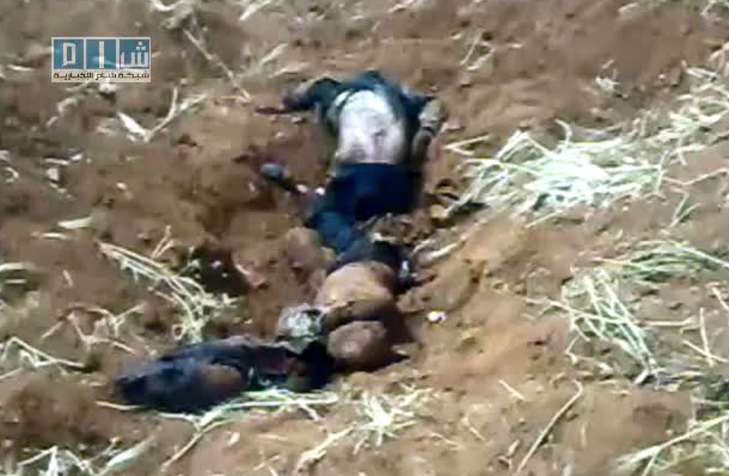 Süürias leiti armee poolt tapetud meeleavaldajate väidetav massihaud. Fotol telekanali Sham SNN videost tehtud pilt.