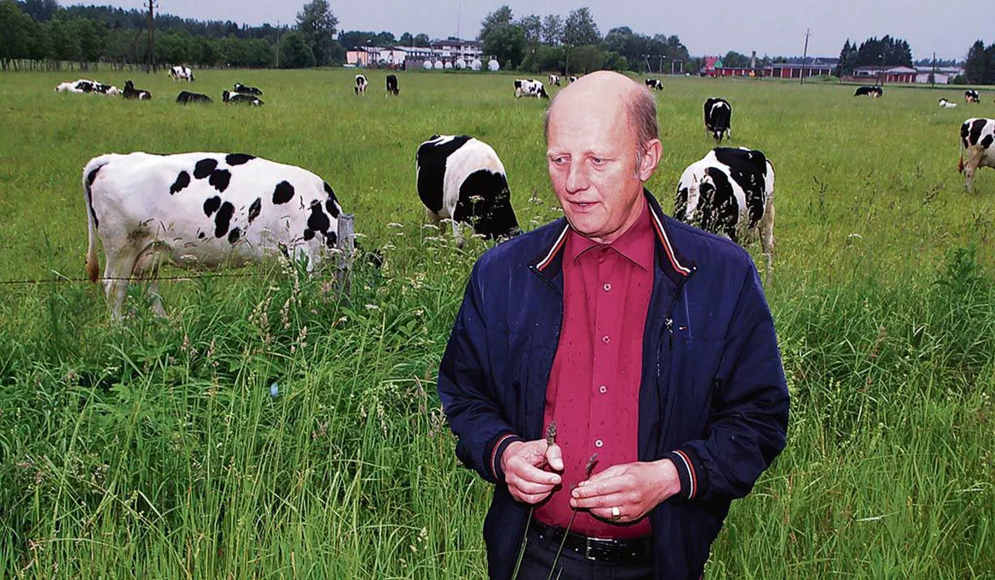 “Ausalt öelda ei mäletagi teist sellist aastat, kui suve sisuliselt ei olegi olnud,” ütles OÜ Surju PMi tegevdirektor Hannes Isand eile, kui jaanipäeva järel kallas vihma jälle nagu oavarrest.