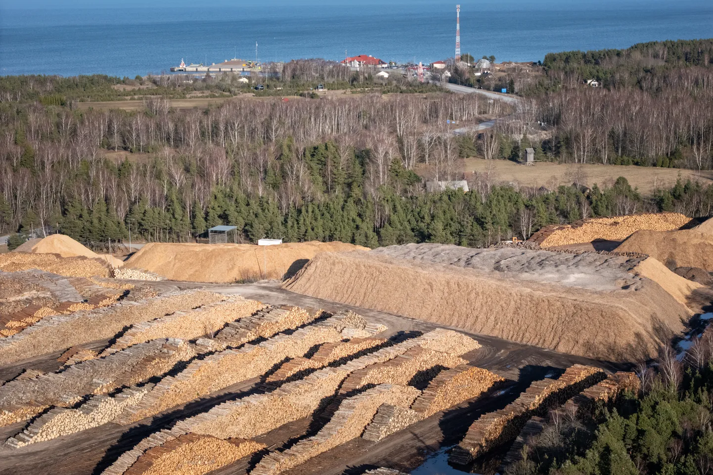 Eesti erametsaliit üritas Rohetiigri maakasutuse teekaardile sokutada nii suurt raiemahunumbrit, mida isegi kliimaministeerium võimalikuks ei pea. Rohetiiger keeldus.