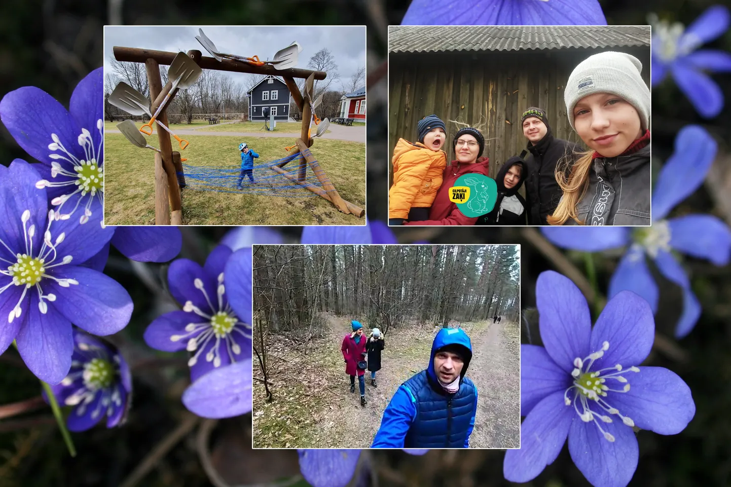 Raksta foto