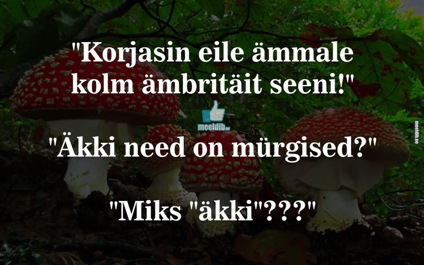 Artikli foto