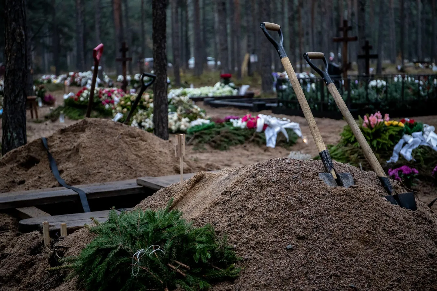 В прошлом году женщины умирали в среднем в 84 года, а мужчины - в 72 года.