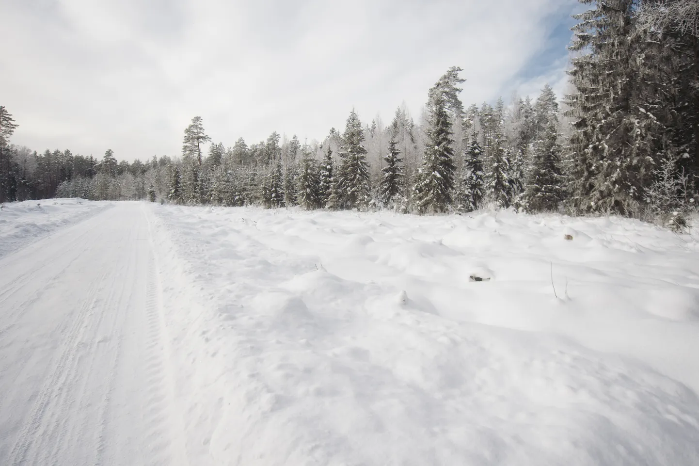 Foto: Ziemas sals Latvijas ārēs