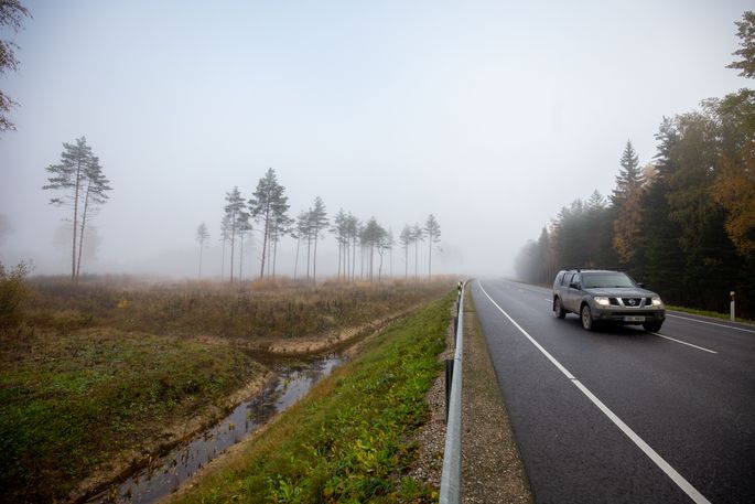 January 2020 Record Warm In Estonia Estonian News