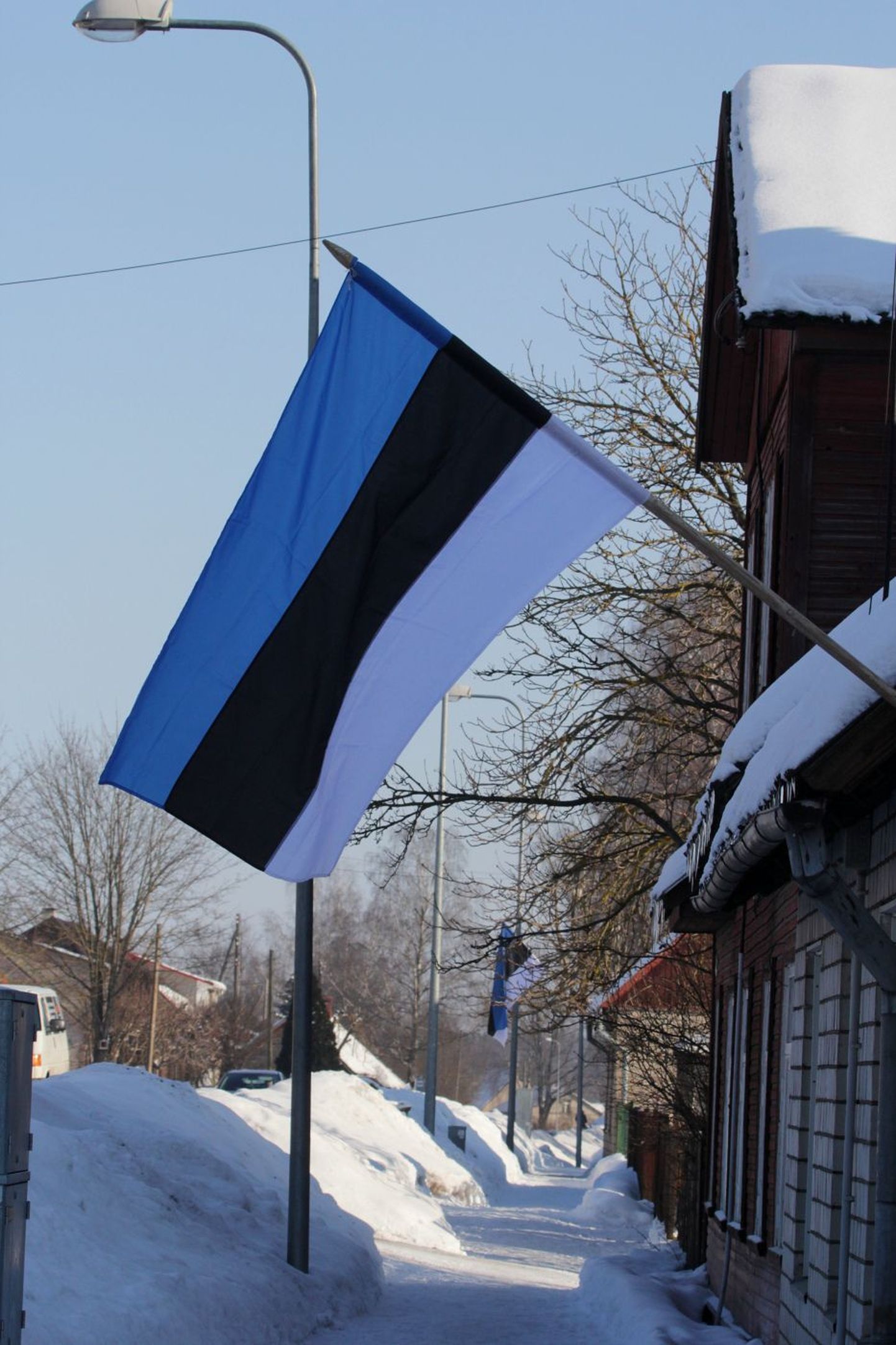 Eesti riigilipp.