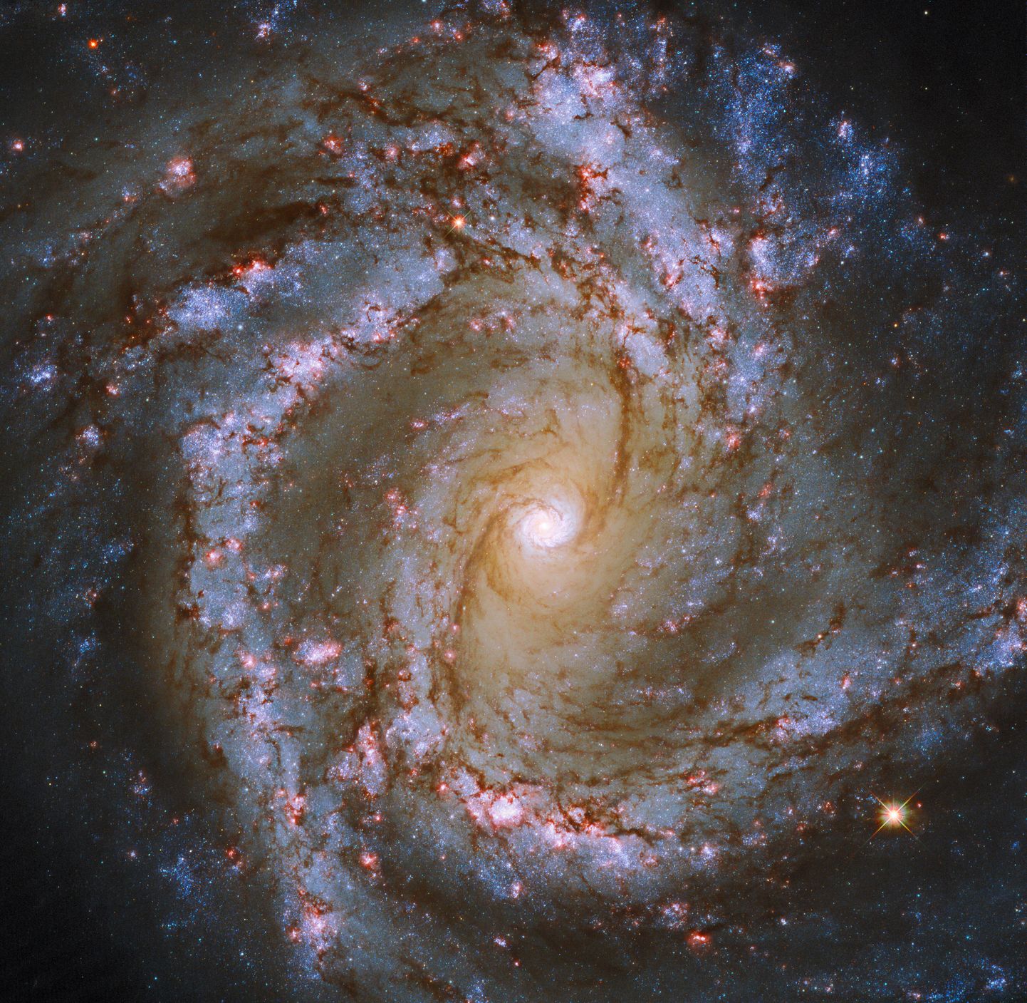 Messier 61 galaktika